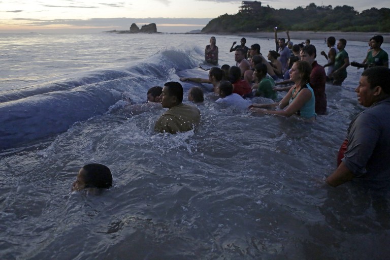 Enorme ballena queda varada en playa del Pacífico sur de Nicaragua