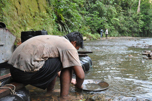 La fiebre del oro acelera la deforestación en América Latina