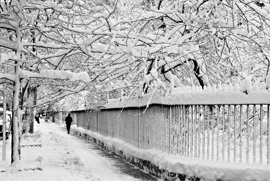 Nueva tormenta de nieve obliga a anular 1.850 vuelos en noreste de EEUU