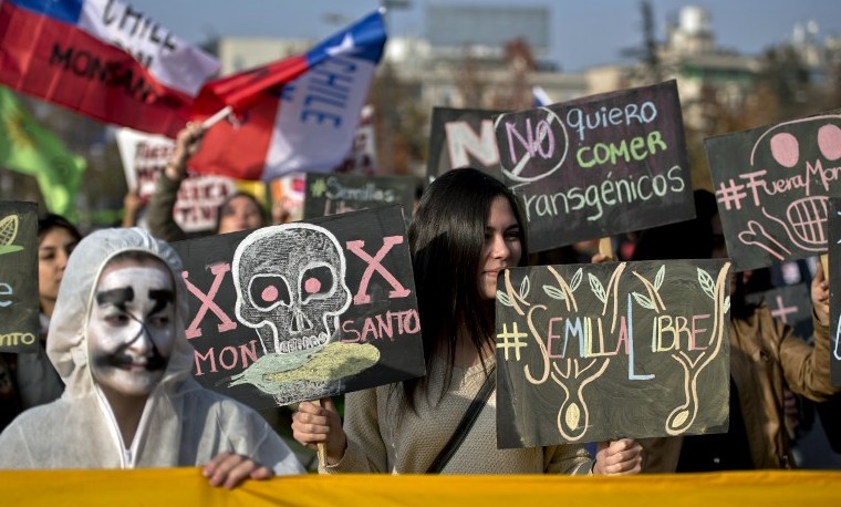 Manifestación en Chile exige la salida de multinacional Monsanto del país