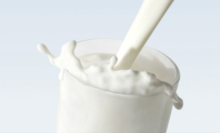 8 preguntas, y sus respuestas, sobre el papel de la leche y los productos lácteos en la nutrición humana