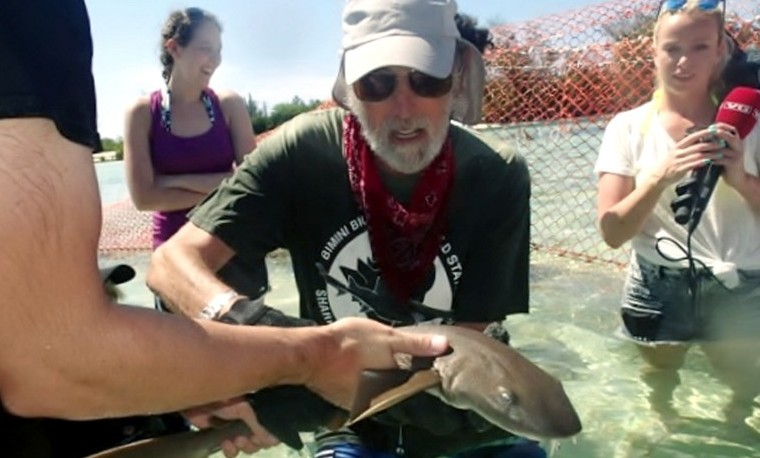 Nadando con tiburones en las Bahamas: de la fobia a la fascinación