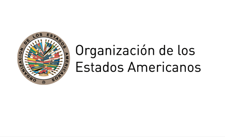 La OEA desea iniciar de inmediato su renovación