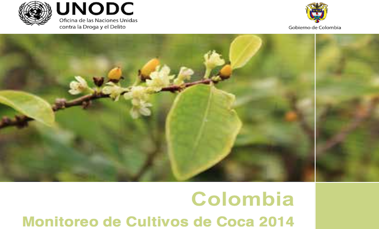 Fuerte aumento de cultivo de coca y producción de cocaína en Colombia