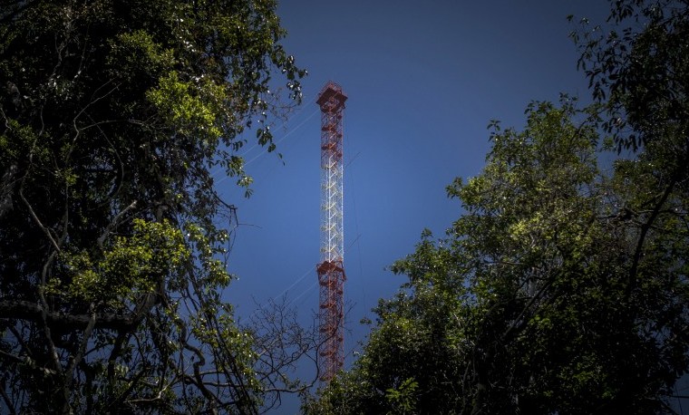 Una “torre Eiffel” en la Amazonia