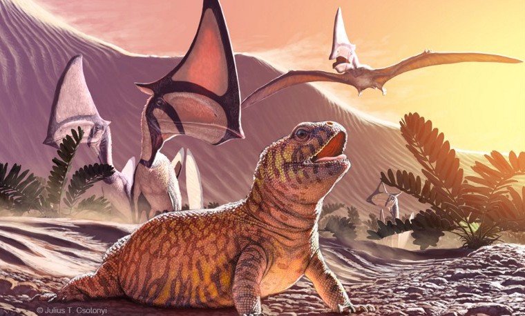 Descubren en Brasil un fósil de lagarto de 80 millones de años