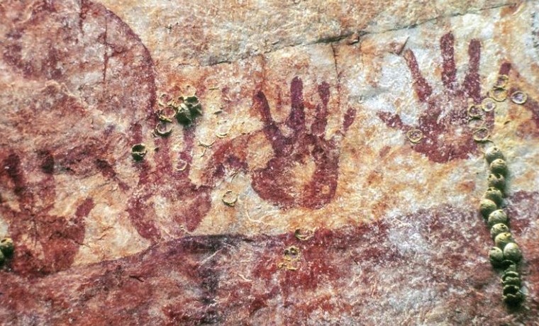 Reproducciones cedidas y disponibles de pinturas rupestres en la serranía de Chiribiquete. EFE/CARLOS CASTAÑO-URIBE/