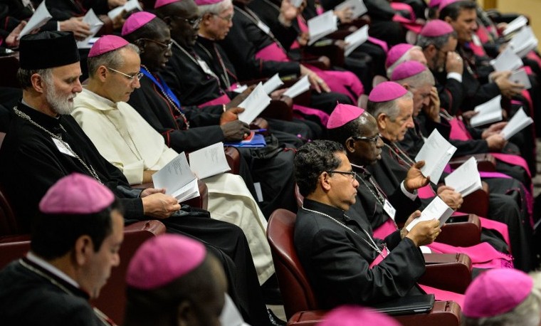 Unos doce cardenales conservadores critican metodología del papa en el sínodo