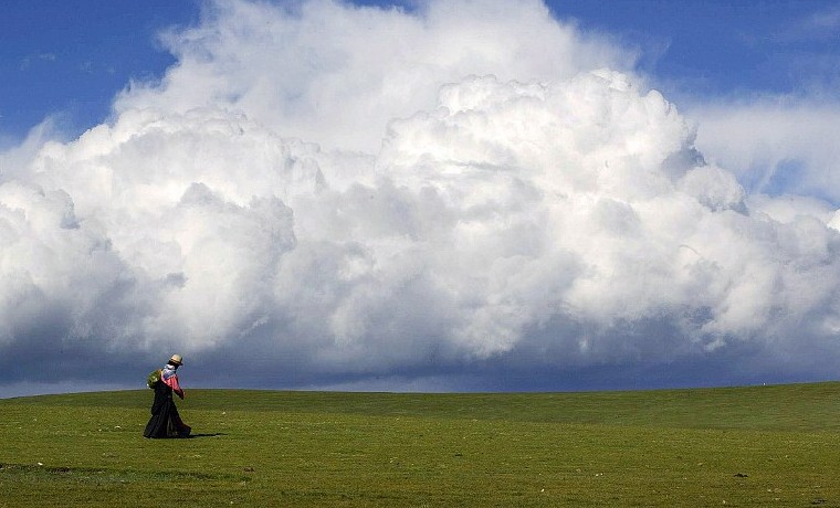 “Esencial” poner precio al carbono para luchar contra cambio climático: OCDE