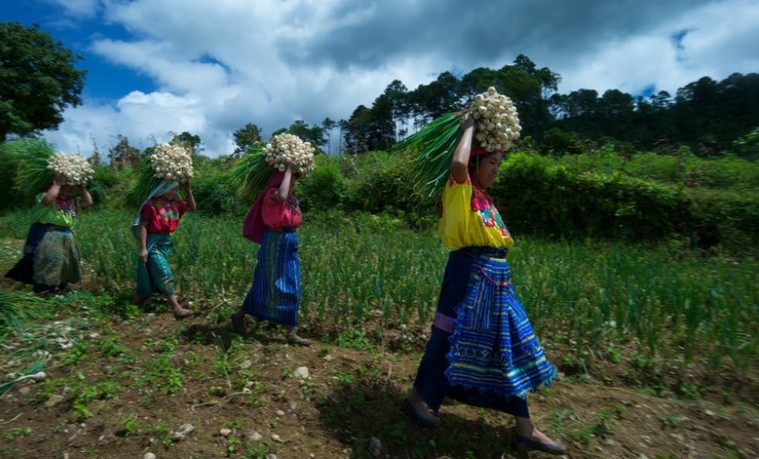 Mujeres rurales: la llave para reconstruir un mundo mejor después de la pandemia