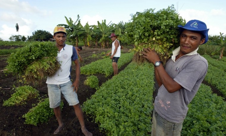 Archivo. Brasil - Proyecto de Desarrollo Sostenible para el agro.Noviembre, 2007. ©Ubirajara Machado/MDA/IFAD Agricultores