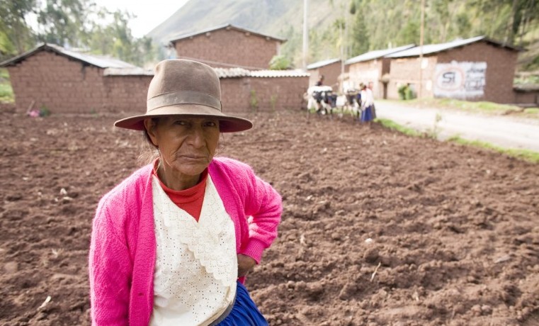 Faustina Navarro, en su plantación de maíz en Manchaybamba, Andahuaylas, Peru. Octubre, 2006. ©IFAD/Pablo Corral Vega.