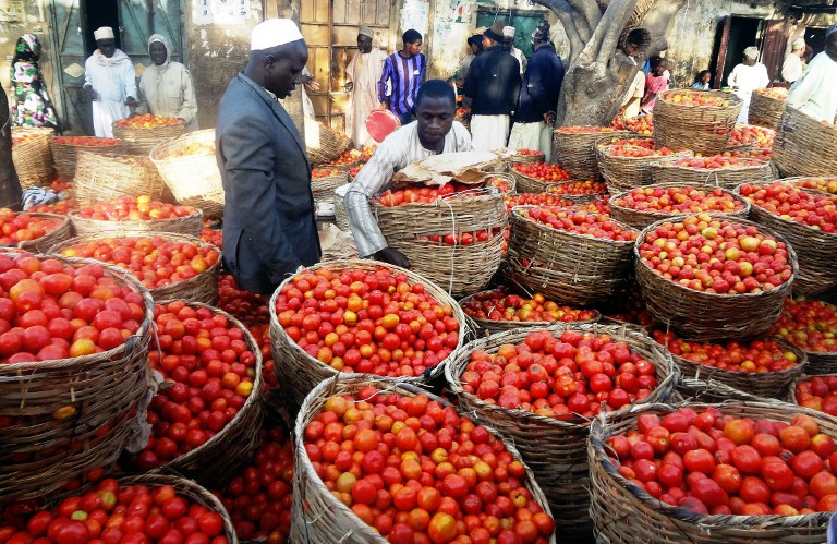 NIGERIA-ECONOMY-INVESTMENTS-AGRICULTURE