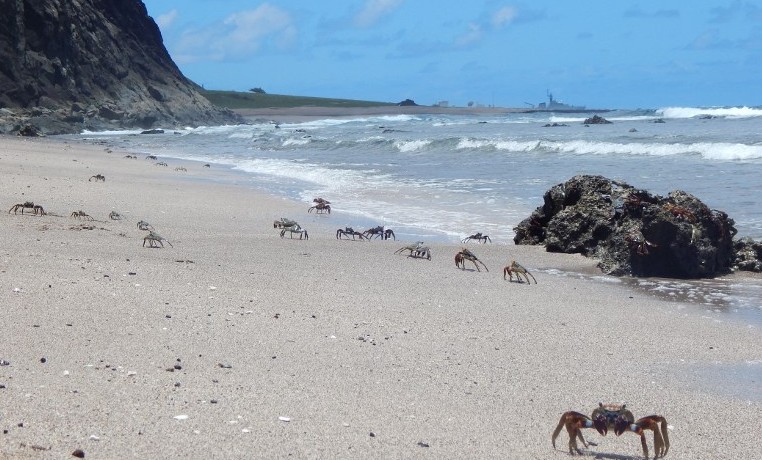 Tartarugas Beach, Isla de Trindade Island. Brasil, noviembre 29, 2015. AFP PHOTO/VITORIA VELEZ