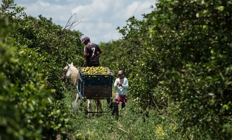 Los países de América Latina y el Caribe reiteran decisión de lucha contra el hambre