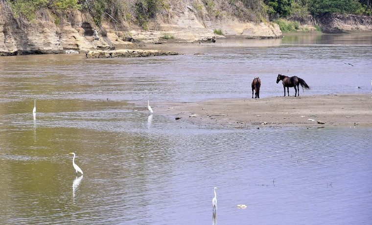 Sequía en Colombia deja pocos peces y mucho lodo en el río Magdalena