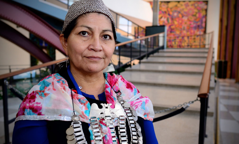 Elisa Loncon, Mapuche de Chile, es una académica dedicada a proyectos de investigación y promoción de los derechos lingüísticos. Participó de la reunión de expertos sobre la preservación y revitalización de las lenguas indígenas. Foto Rocío Franco/Radio ONU.