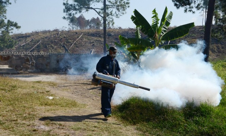 Infección cerebral zika