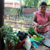 Comidas escolares