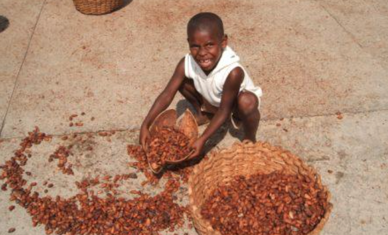 El trabajo infantil en la agricultura