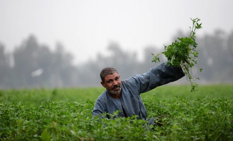 No se pueden seguir ignorando las necesidades de los pequeños agricultores en las negociaciones sobre el cambio climático