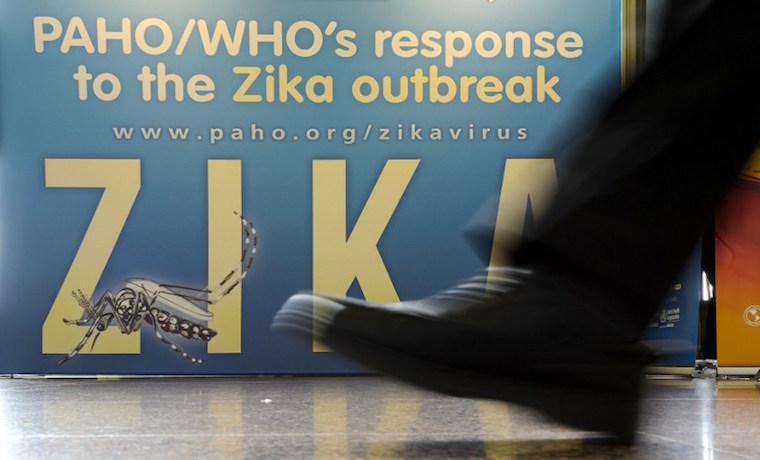 Zika: riesgo de microcefalia en fetos varía de 1 a 13%