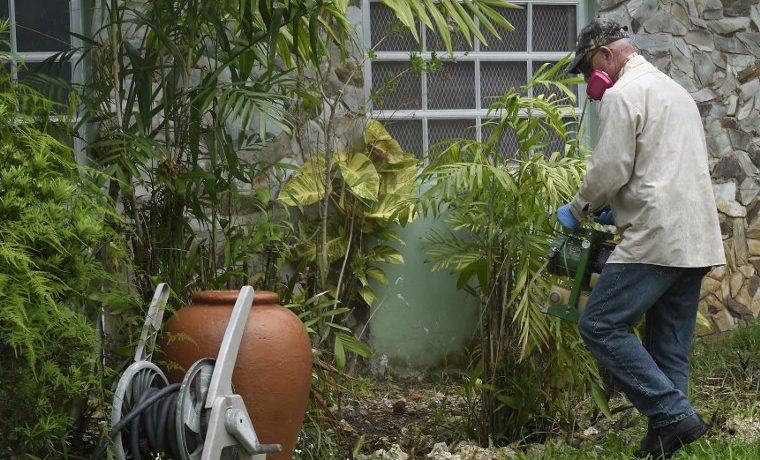 Los guerreros anti-Zika de Miami matan mosquitos casa por casa