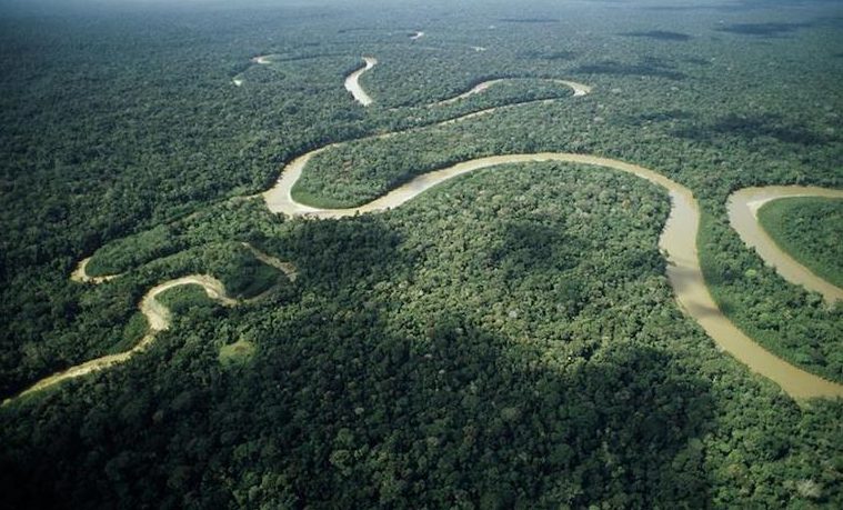 Amazonía Amazonas río