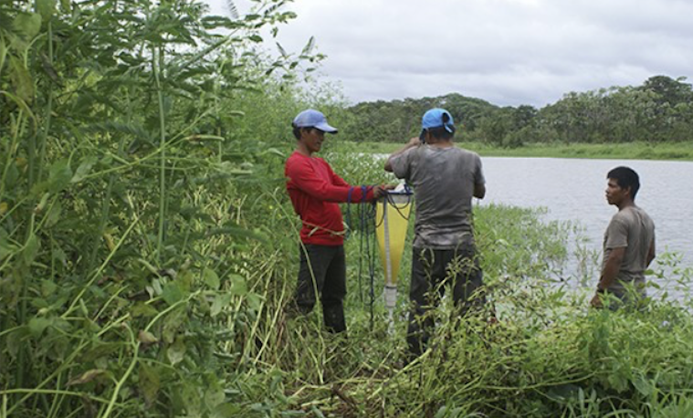 A proteger 21 humedales del departamento del Amazonas