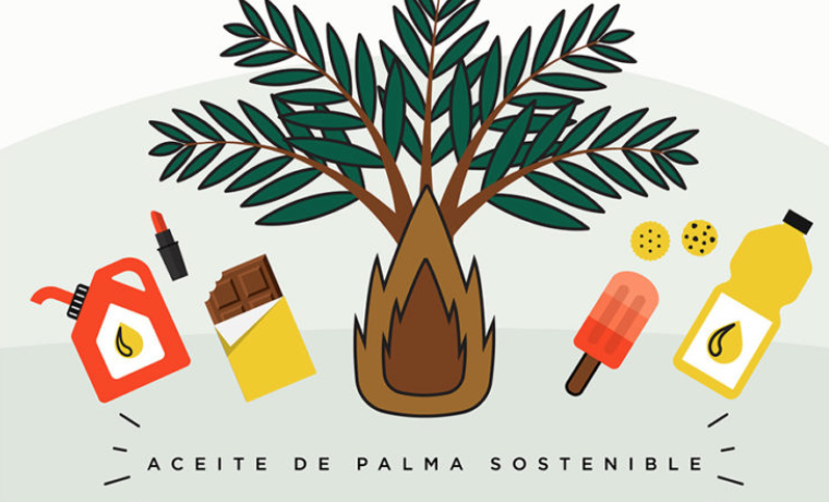 Apoyando a la palma sostenible en América Latina y el Caribe