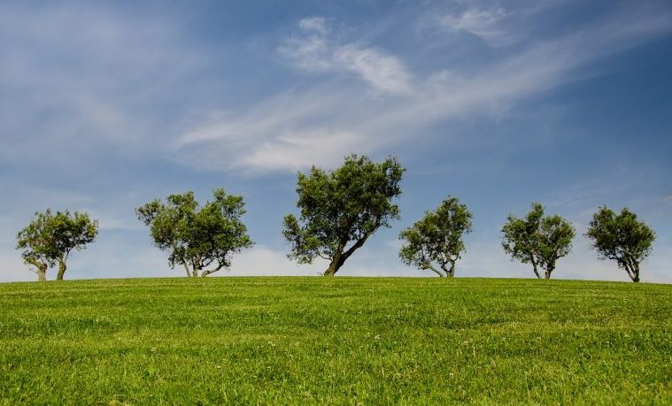 ambiente licencia ambiental planeta campo