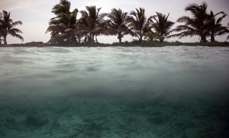 Belice barrera de coral corales