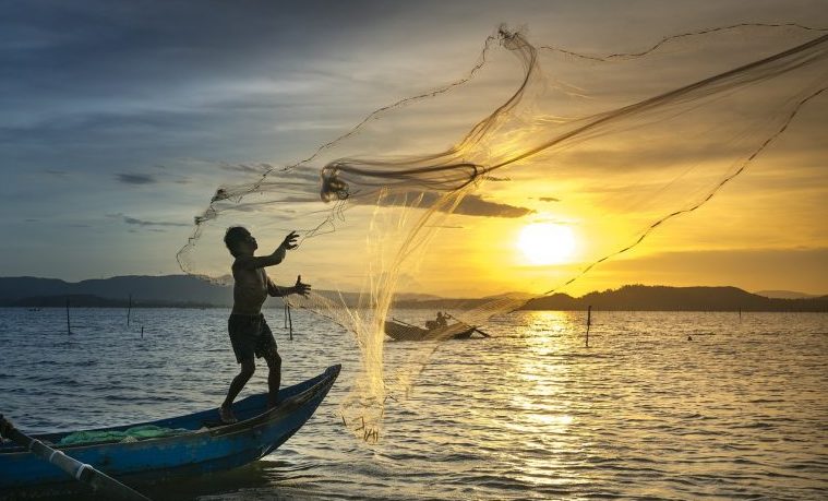 La acuicultura ecológica, una alternativa ante la demanda creciente de pescado