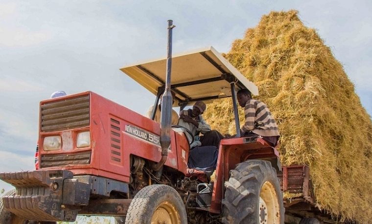 Cosechar prosperidad a través de la innovación y la tecnología en la agricultura