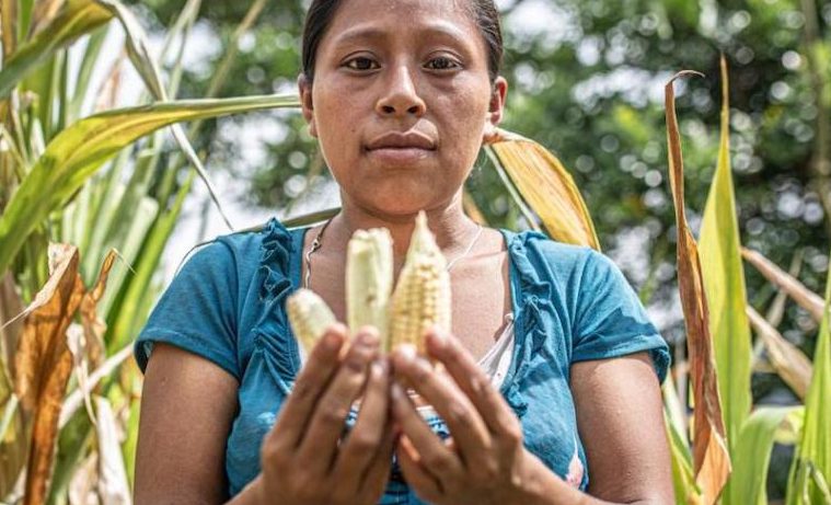 Alimentación, crisis climática y recursos naturales