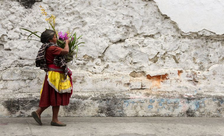 Impulsar la resiliencia de los agricultores familiares de América Latina y el Caribe mediante soluciones basadas en la naturaleza