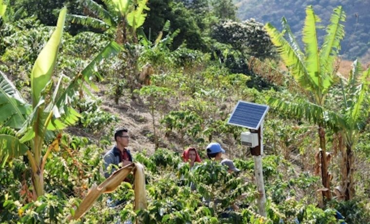 El café colombiano tradicional… con un toque juvenil