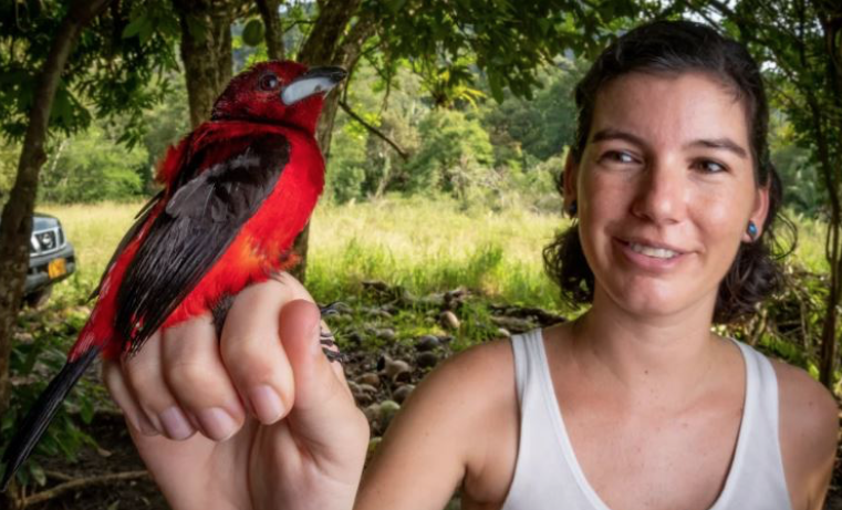 “Estamos creando la nueva historia de las expediciones de aves en Colombia”: Instituto Humboldt