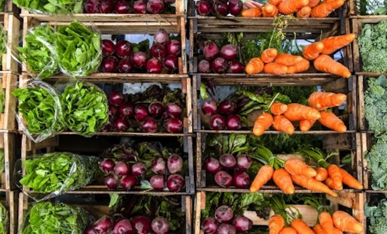 dieta saludable FAO verduras frutas comida food
