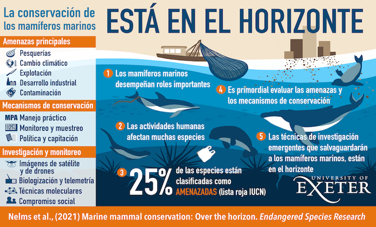 Un llamado a la acción: Las amenazas globales sobre los mamíferos marinos y ¿qué podemos hacer?