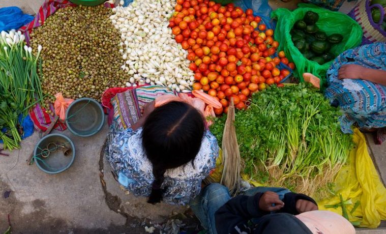 agricultura FIDA nutrición alimentos soberanía