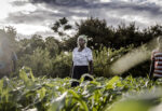 La igualdad de las mujeres en los sistemas agroalimentarios podría aumentar el PIB mundial en 1 billón de dólares y acabar con la inseguridad alimentaria de 45 millones de personas