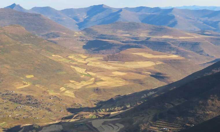 Cómo se está adaptando al cambio climático el sector ganadero de Lesotho