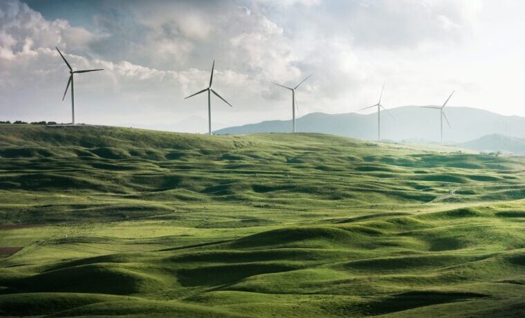 wind turbine surrounded by grass hidrógeno verde